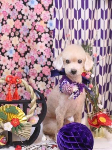 20250131ラッキーくん